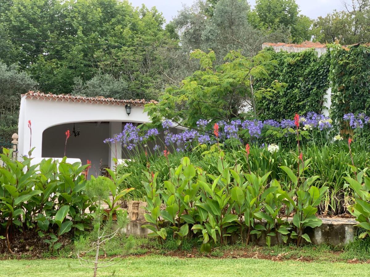 Quinta Dos Girassois Fz Appartement Ferreira do Zêzere Buitenkant foto
